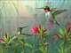 Glass Tile Backsplash Mike Brown Hummingbird Art Mural MBA021
