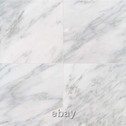 MSI Floor Wall Tile 18x18 Polished Marble Greecian White (11.25-Sq-Ft Case)