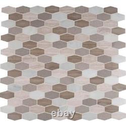 MSI Floor/Wall Tile Bellagio Honed Marble Look Blend Hexagon (9.7-Sq-Ft/Case)