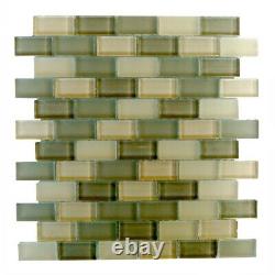 Miseno MT-AMADAHY1X2 Amadahy 1 X 2 Glass Visual Wall Tile MultiColor