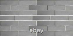 Miseno MT-WHSFOM0208-ES Forever 2 x 8 Rectangle Wall Tile - Silver